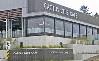 cactusclub